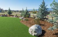 Synthetic Grass Living image 14